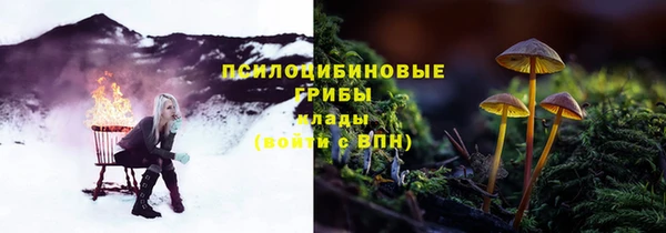 mdpv Медногорск